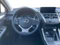 Lexus NX 300 NX 300h 2.5 Sport 4wd Cvt Grau - thumbnail 11