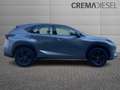 Lexus NX 300 NX 300h 2.5 Sport 4wd Cvt Grau - thumbnail 5