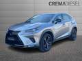 Lexus NX 300 NX 300h 2.5 Sport 4wd Cvt Grau - thumbnail 1
