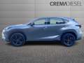 Lexus NX 300 NX 300h 2.5 Sport 4wd Cvt Grau - thumbnail 6