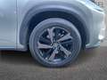 Lexus NX 300 NX 300h 2.5 Sport 4wd Cvt Grau - thumbnail 17