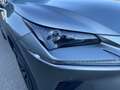 Lexus NX 300 NX 300h 2.5 Sport 4wd Cvt Grau - thumbnail 7