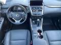 Lexus NX 300 NX 300h 2.5 Sport 4wd Cvt Grau - thumbnail 9