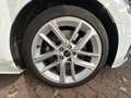 Audi S5 3.0 TDI quattro Sportback Matrix LED*Keyless Blanc - thumbnail 25