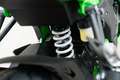 Kawasaki Ninja 125 4 JAHRE WERKSGARANTIE, Lieferservice Grün - thumbnail 20