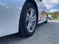 Suzuki Swace 1,8 HEV E-CVT Flash Weiß - thumbnail 3