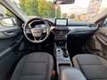 Ford Kuga Ford Kuga 2.0 TDCi EcoBlue Titanium, Automatik, GSD, HeadUp, ACC, Weiß - thumbnail 18