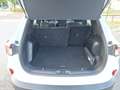 Ford Kuga Ford Kuga 2.0 TDCi EcoBlue Titanium, Automatik, GSD, HeadUp, ACC, Weiß - thumbnail 17