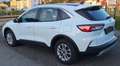 Ford Kuga Ford Kuga 2.0 TDCi EcoBlue Titanium, Automatik, GSD, HeadUp, ACC, Weiß - thumbnail 4