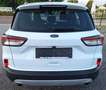 Ford Kuga Ford Kuga 2.0 TDCi EcoBlue Titanium, Automatik, GSD, HeadUp, ACC, Weiß - thumbnail 6