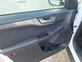 Ford Kuga Ford Kuga 2.0 TDCi EcoBlue Titanium, Automatik, GSD, HeadUp, ACC, Weiß - thumbnail 12