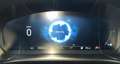 Ford Kuga Ford Kuga 2.0 TDCi EcoBlue Titanium, Automatik, GSD, HeadUp, ACC, Weiß - thumbnail 22