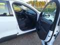 Ford Kuga Ford Kuga 2.0 TDCi EcoBlue Titanium, Automatik, GSD, HeadUp, ACC, Weiß - thumbnail 13