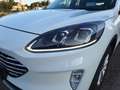 Ford Kuga Ford Kuga 2.0 TDCi EcoBlue Titanium, Automatik, GSD, HeadUp, ACC, Weiß - thumbnail 5