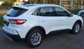 Ford Kuga Ford Kuga 2.0 TDCi EcoBlue Titanium, Automatik, GSD, HeadUp, ACC, Weiß - thumbnail 3