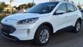 Ford Kuga Ford Kuga 2.0 TDCi EcoBlue Titanium, Automatik, GSD, HeadUp, ACC, Weiß - thumbnail 2