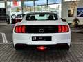 Ford Mustang GT V8 5.0 Autom.1.HD| Deutsch |MagneRide Weiß - thumbnail 10