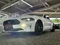 Ford Mustang GT V8 5.0 Autom.1.HD| Deutsch |MagneRide Weiß - thumbnail 14