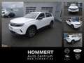 Opel Grandland 1.2 MHEV Edition LED+Navi+SHZ Blanc - thumbnail 1
