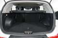 Kia Sportage 1.7 CRDI 2WD COOL Bianco - thumbnail 12