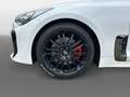 Kia Stinger 2.0 T-GDI GT-Line ACC FLA 360 Bel.Sitz Biały - thumbnail 15
