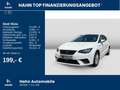 SEAT Ibiza Reference 1.0TSI LED PDC o. Klima Cockpit Weiß - thumbnail 2