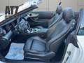 Mercedes-Benz E 200 Avantgarde Nightpaket*Garantie* Blanc - thumbnail 10