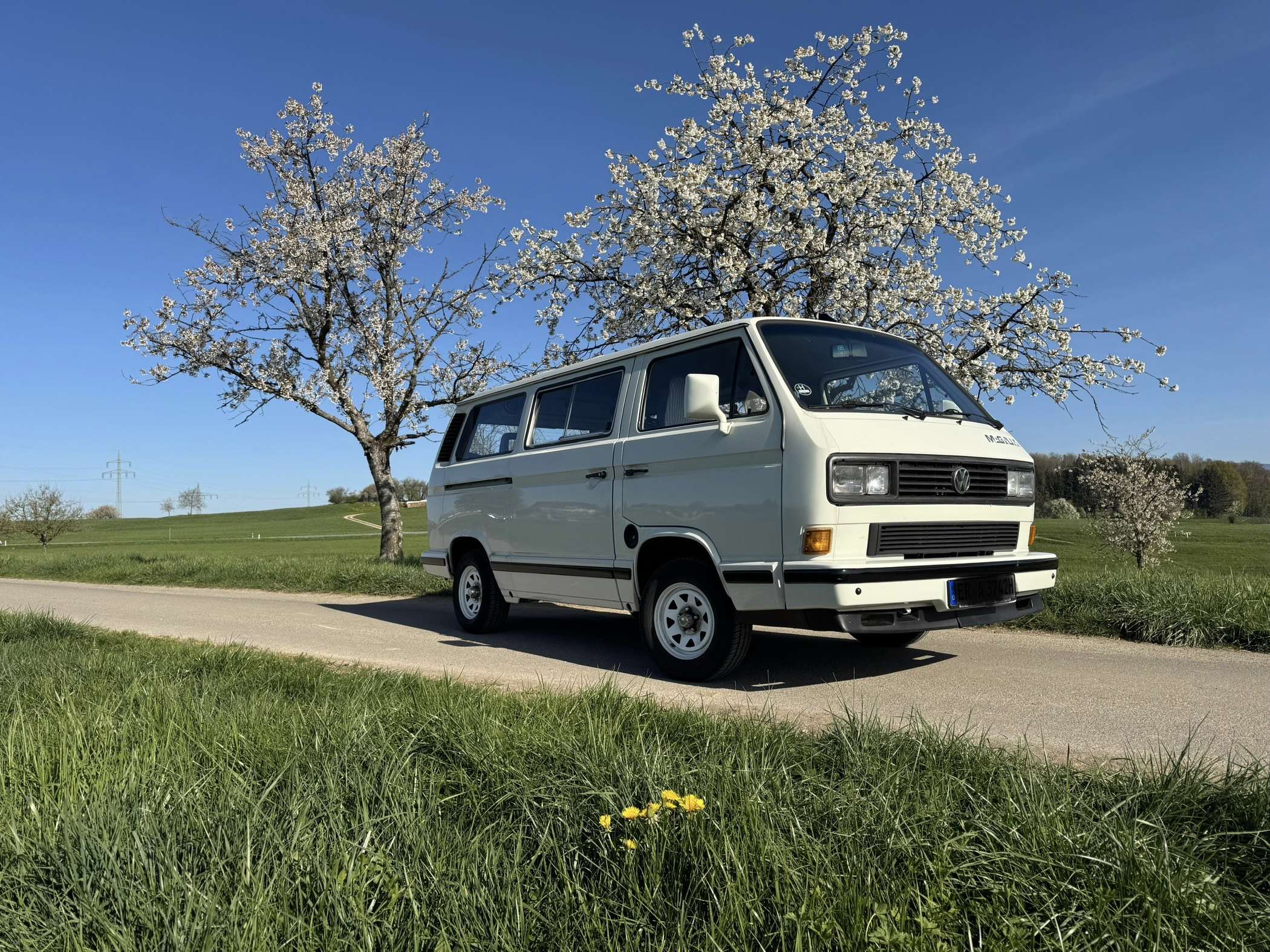 Second hand Volkswagen  