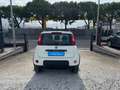 Fiat New Panda 1.3 MJT 95 CV S&S 4x4 Weiß - thumbnail 5