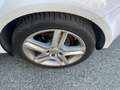 SEAT Altea 1.6 TDI 105 CV CR DPF Reference Bianco - thumbnail 11