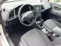 SEAT Leon Reference Weiß - thumbnail 10