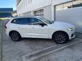 Volvo XC60 B4 R-Design AWD Geartronic Weiß - thumbnail 5