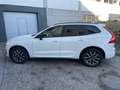 Volvo XC60 B4 R-Design AWD Geartronic Weiß - thumbnail 6
