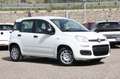 Fiat Panda 1.0  S&S Hybrid PACK CITY NUOVO Bianco - thumbnail 8