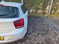 BMW 114 1-serie 114i Business+ Export / Handel Weiß - thumbnail 41