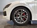 Audi Q8 55 TFSI e +ADAPAIR+AHK+360°+OPTIK+HD-MATRIX+ Weiß - thumbnail 4