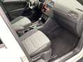 Volkswagen Tiguan Sky TDI SCR 4MOTION DSG Weiß - thumbnail 21