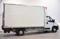 Fiat Ducato CHASIS CABINA CARROZADO PAQUETERA CAMIÓN 3 Blanco - thumbnail 2