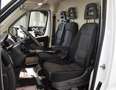 Fiat Ducato CHASIS CABINA CARROZADO PAQUETERA CAMIÓN 3 Blanco - thumbnail 6