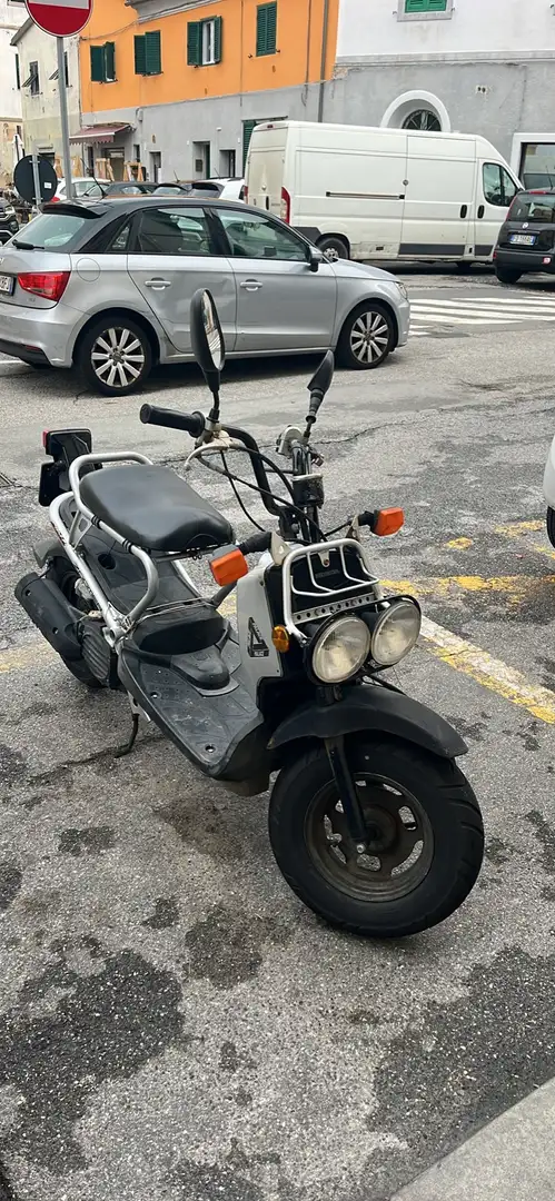 Honda Zoomer Argento - 1