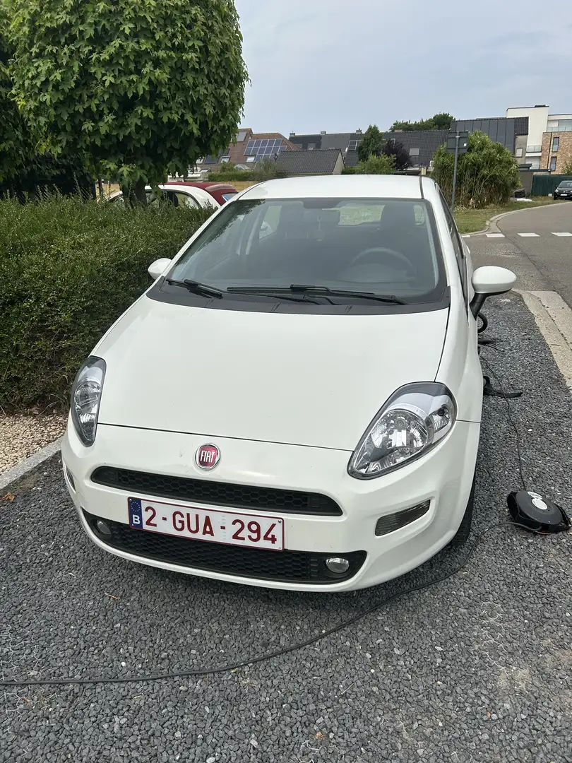Fiat Punto 1.2 benzine/ 81 000km/ apple carplay - 1