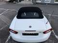 Fiat 124 Spider Lusso Weiß - thumbnail 12