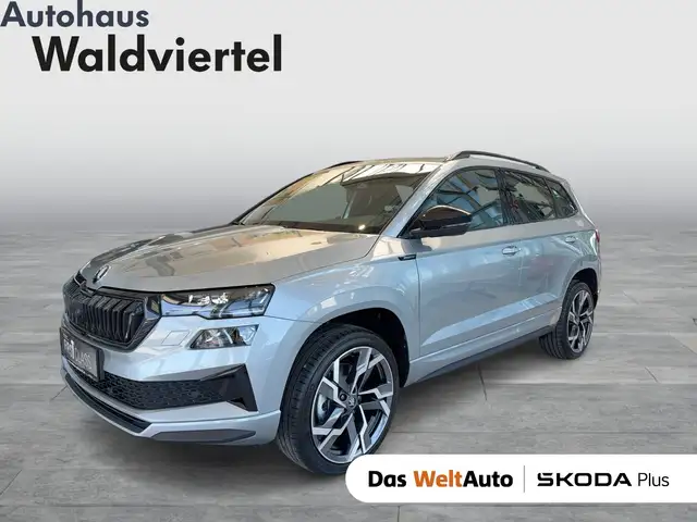 Skoda Karoq main image