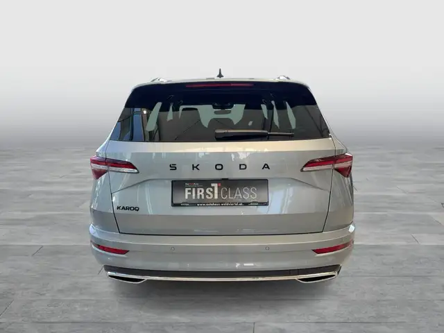 Skoda Karoq view 3