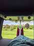 Volkswagen T5 California Camping-Bus/ Bulli/ Camper, weiß, Aufstelldach Blanco - thumbnail 20