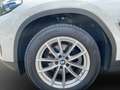 BMW X3 xDrive20d LED  PANO RÜCKFAHR SHZ DAB WLAN Blanc - thumbnail 9