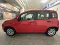 Fiat Panda 1.0 Gse City Live Hybrid - thumbnail 6