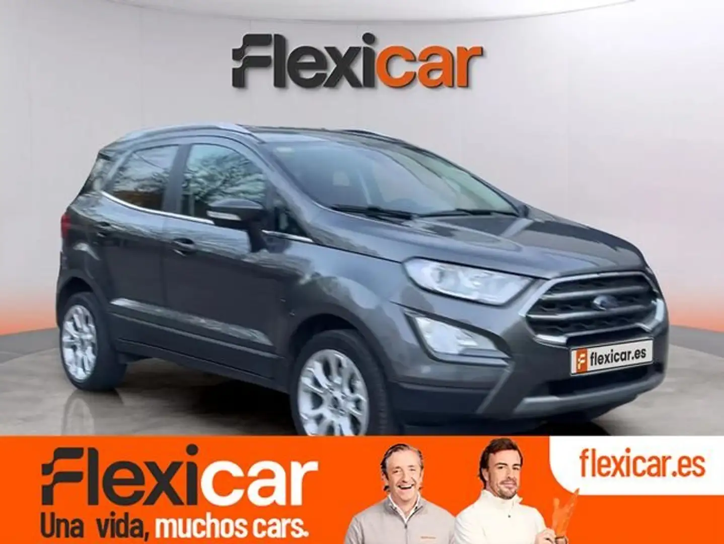 Ford EcoSport 1.0 EcoBoost Active 125 Gris - 1
