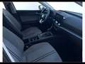 SEAT Leon Sportstourer 1.5 tgi Business 130cv Grigio - thumbnail 8