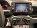 Fiat Panda Cross 1.0 FireFly Hybrid Rosso - thumbnail 12